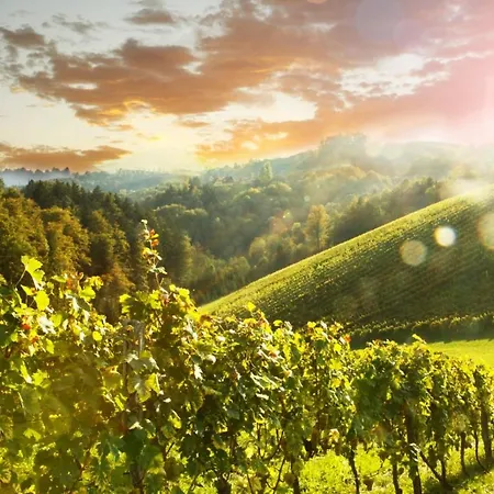 Fam.kremser Leutschach