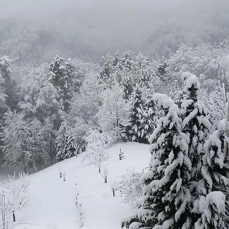 Fam.kremser 3* Leutschach