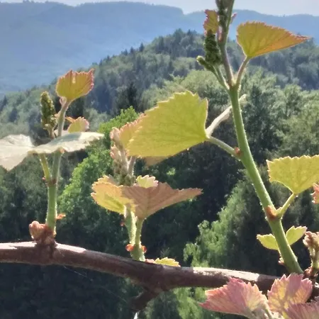 Fam.kremser Leutschach