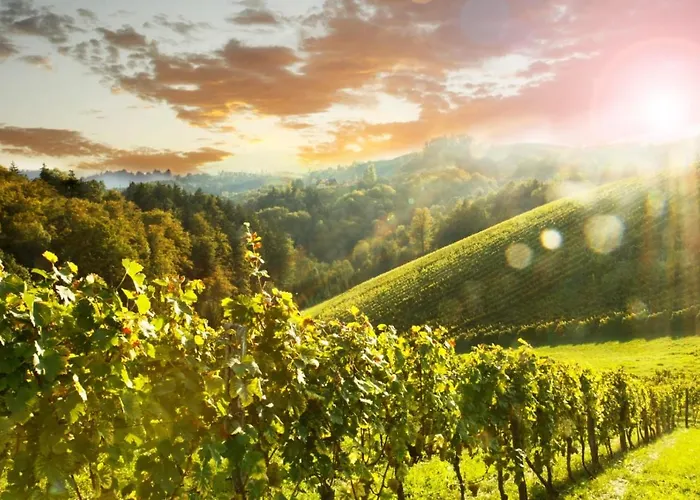 Fam.kremser 루트스카치