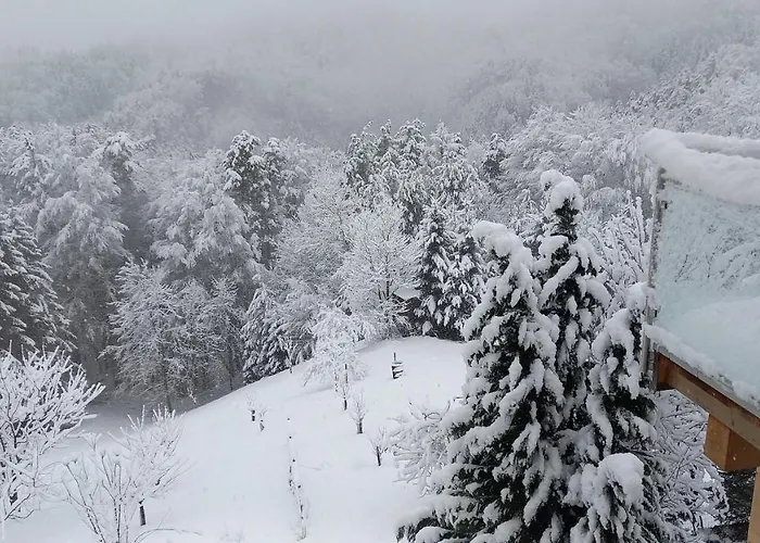 Fam.kremser 3* 루트스카치